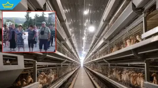 Във Великотърновско протестират срещу разширението на огромна птицеферма (видео)