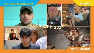 “Изчезнал” бияч, правосъдие по български и еврозона в Топ новините тази седмица (видео)