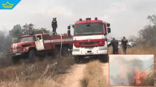 Пожарът в Сакар е унищожил над 200 декара пшеница (видео)