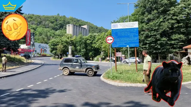 Продължават да търсят шуменската пантера (видео)