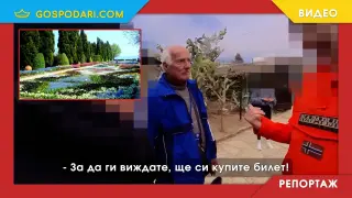Дългогодишният конфликт в "Двореца" в Балчик ескалира: Охранители на сградата преследват посетителите на градината (РЕПОРТАЖ)