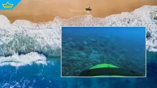 Изследователи от Университета в Сидни откриха нови морски тайни с помощта на подводни роботи (видео)