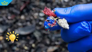 Учени създадоха биоразградима гъба от кости на калмари срещу микропластмаса