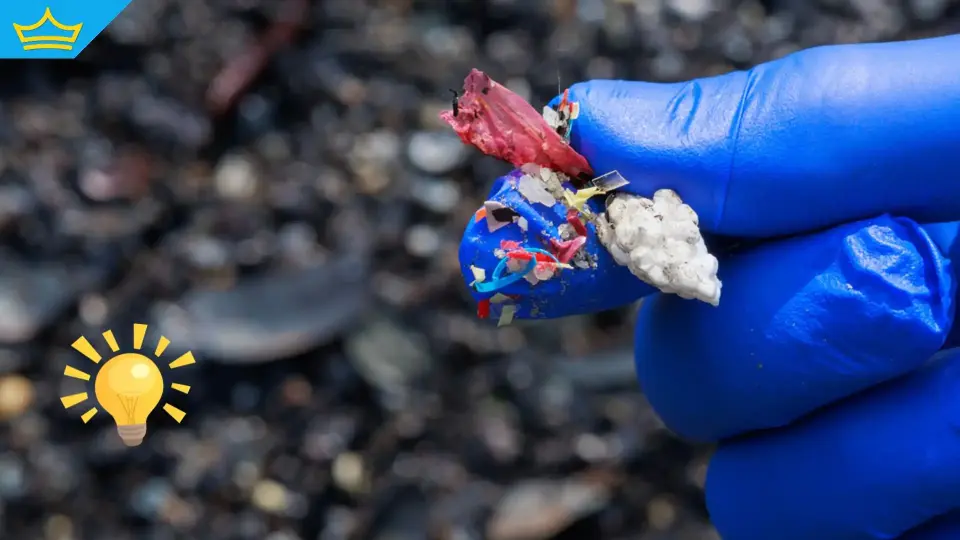 Учени създадоха биоразградима гъба от кости на калмари срещу микропластмаса