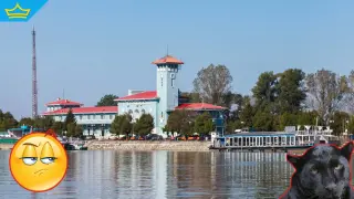 Вече издирват митичния черен леопард и в Румъния