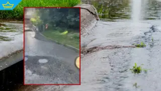 Институциите си прехвърлят отговорността за течащата питейна вода по улиците на Владая (видео)
