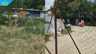 Подозират разлив на препарати като причина за масовото измиране на риба в река Марица