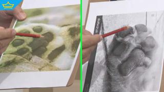 Следите от черния леопард ще се окаже, че са от куче (видео)