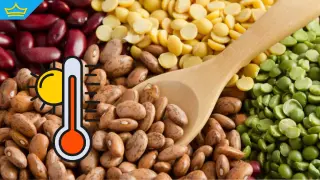 Сушата съсипа реколтата и от боб - ще внасяме уж традиционния продукт от чужбина