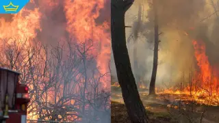 Голям пожар гори край три видински села