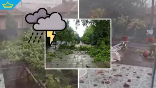 Силна буря удари Лом: щети по покриви и дървета, за щастие без пострадали (видео)
