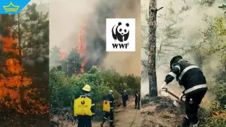 WWF стартира кампания в подкрепа на българските доброволци