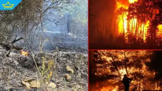 15 000 декара изгоряха край Белоградчик: огънят стигна до сръбската граница (видео)