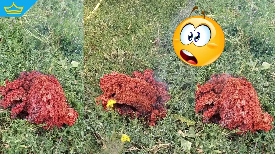 Мистериозен червеникав обект смути жители на Якоруда (видео)