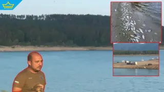 Язовир "Копринка" пресъхва, а рибата в него измира (видео)
