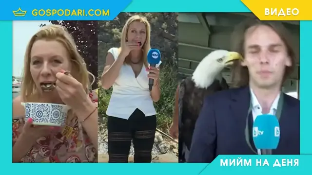 Мийм на деня: Любимката на шефа VS останалите колеги (видео)