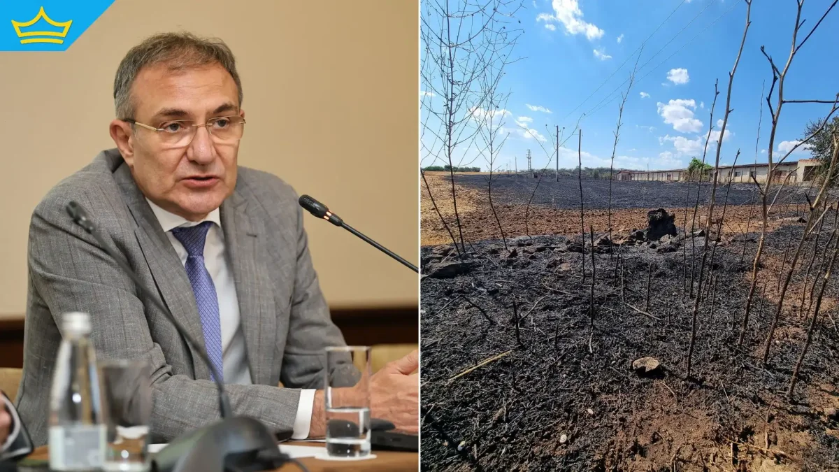 Държавата ще осигури финансова помощ за пострадалите от пожарите