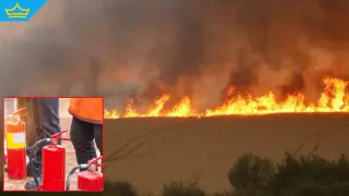 Спешно търсят доброволци заради избухнал пожар край Белово