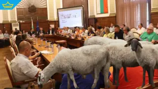 Стопаните ще получават авансово по 200 лв. на животно при огнище на шарка