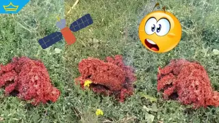 Падналият от небето червен обект в Якоруда може да е остатък от Starlink