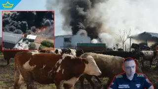 България гори: Нов пожар подпали ферма и уби 23 крави във Великотърновско (видео)