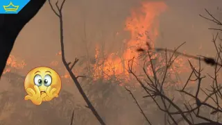 България е най-засегната от пожари страна в ЕС за последните две години