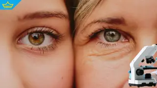 Учени разработват лекарство, което може да спре стареенето на клетъчно ниво