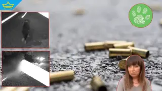Мъж е застрелял бездомно куче на улицата в монтанско село (видео)