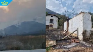 Община Трън откри дарителска сметка за пострадалите от пожарите