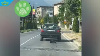 Пореден "човек" влачи куче с колата си - този път в Банско (видео)