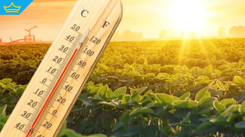 Юли 2025 г. е един от най-сухите и горещите у нас