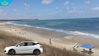 Нерегламентирано паркиране застрашава дюните край Дуранкулак (видео)