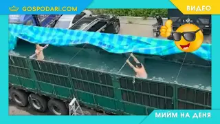 Мийм на деня: "Когато нямаш пари за море, но си твърдо решен, че ще плажуваш" (видео)
