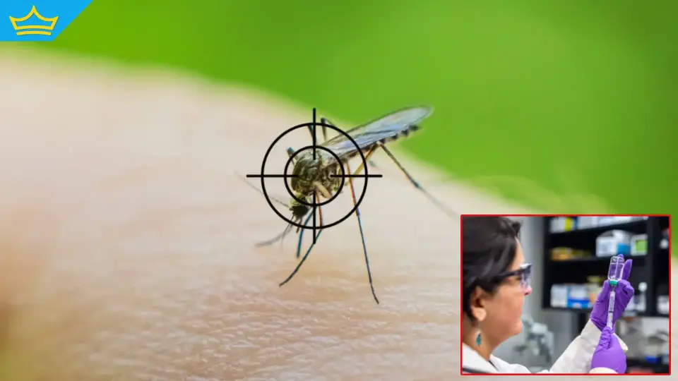 Китайски учени постигнаха пробив в контрола на болести, пренасяни от комари