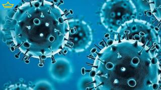 Дежа вю: Увеличават се случаите на заразени с коронавирус у нас