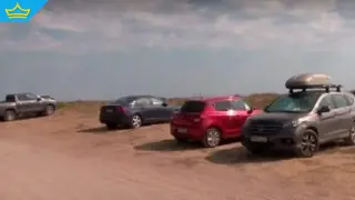 Само за 2 дни над 100 шофьори отнесоха глоби за паркиране по плажовете на Северното Черноморие