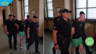 Един от мъчителите на животни в Перник остава за постоянно в ареста