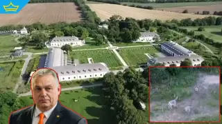 Сараите на Орбан за 30 млн. евро предизвикаха скандал в Унгария (видео)