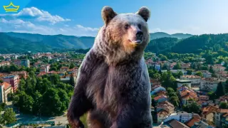 Мечка броди край Троян, забелязана е в близост до градския парк