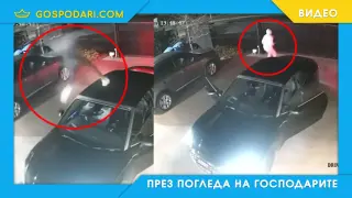 Най-ефикасният начин за справяне с крадци (видео)