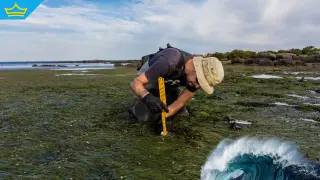 Учени изследват антарктическия морски седимент, за да разберат влиянието на човека върху климата