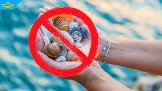 Събирането на мидички и камъчета от плажовете в Гърция ще се глобява