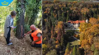 Областната управа на София започна обновяване и обезопасяване на парк „Врана“