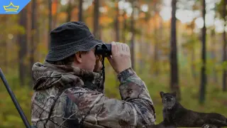 Властите в Тутракан дадоха разрешение за отстрел на забелязаната дива котка (видео)