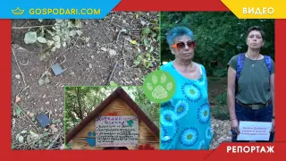 За пореден път атакуваха напълно легални жилища за кастрирани и обезпаразитени бездомни котки в столичен квартал (РЕПОРТАЖ)