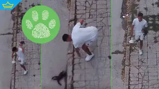 Камера засне как севлиевец умишлено убива домашно коте (видео)