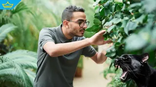 Екоминистерството потвърди, че при намиране черният леопард няма да бъде отстрелван