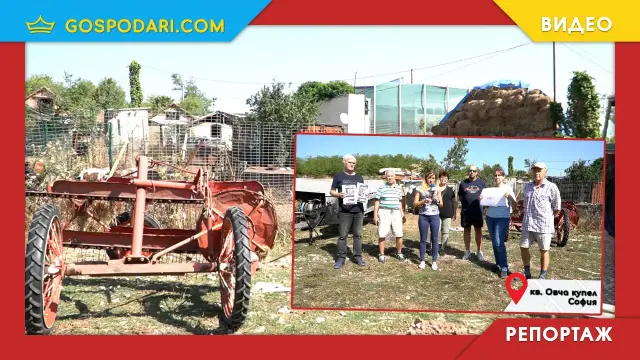 Сагата с незаконната кравеферма в "Овча купел" продължава въпреки спирането на тока и водата и обещанията на институциите (РЕПОРТАЖ)