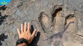 Палеонтолози откриха нов вид динозавър с дължина 12 метра