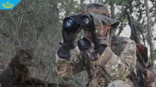 Мъж твърди, че е видял митичния черен леопард отново в Шуменското плато